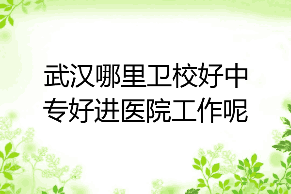 武汉哪里卫校好中专好进医院工作呢