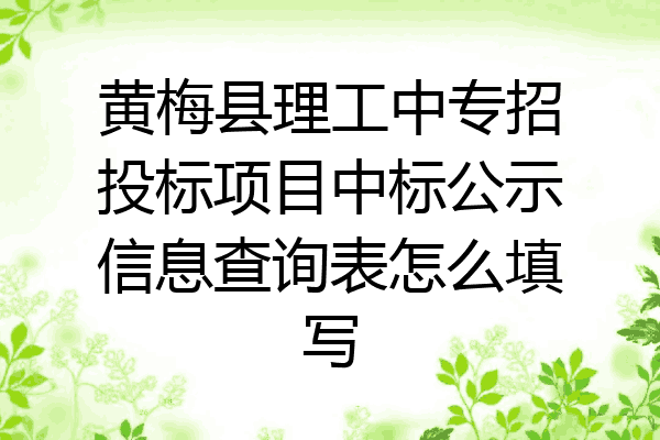 黄梅县理工中专招投标项目中标公示信息查询表怎么填写