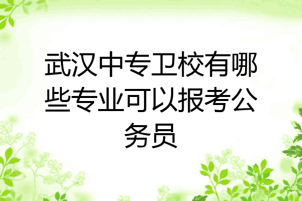 武汉中专卫校有哪些专业可以报考公务员