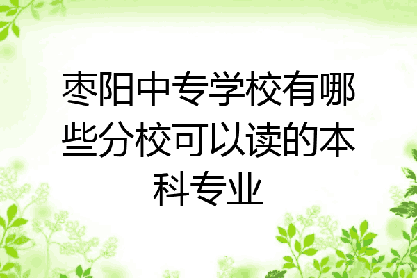 枣阳中专学校有哪些分校可以读的本科专业