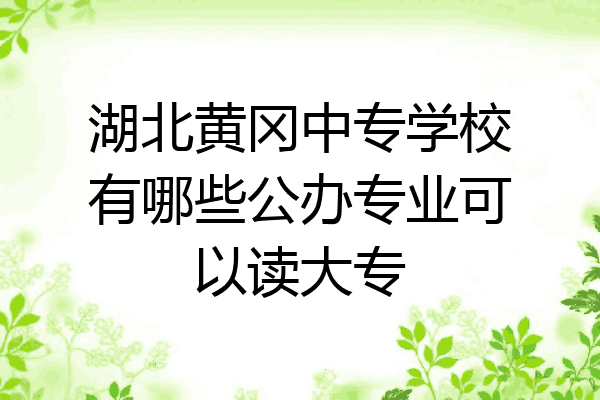 湖北黄冈中专学校有哪些公办专业可以读大专