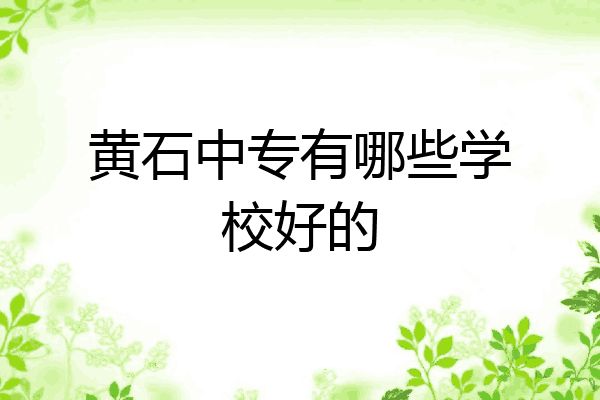 黄石中专有哪些学校好的