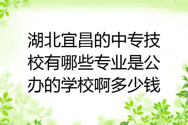 湖北宜昌的中专技校有哪些专业是公办的学校啊多少钱