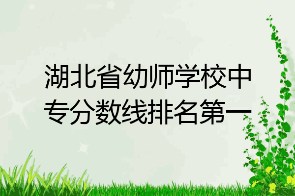 湖北省幼师学校中专分数线排名第一