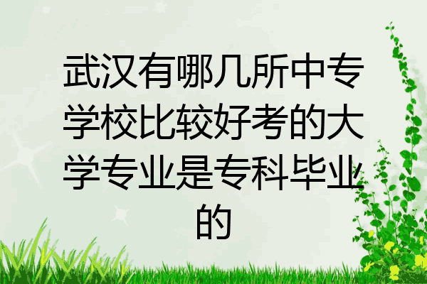 武汉有哪几所中专学校比较好考的大学专业是专科毕业的