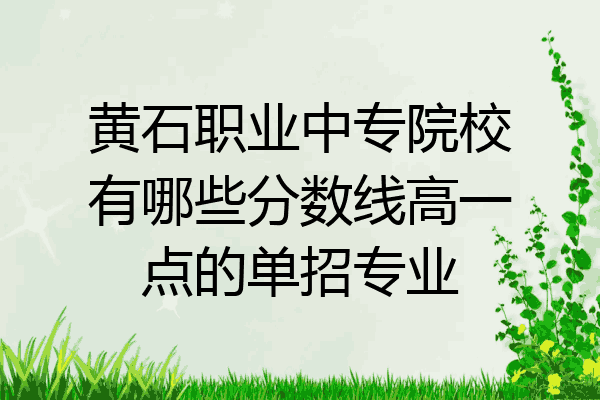 黄石职业中专院校有哪些分数线高一点的单招专业