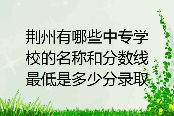 荆州有哪些中专学校的名称和分数线最低是多少分录取