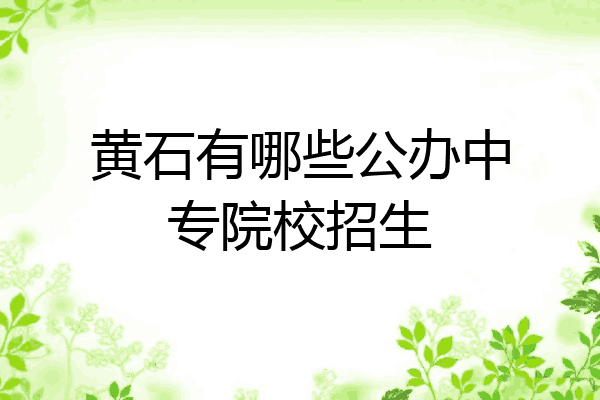 黄石有哪些公办中专院校招生