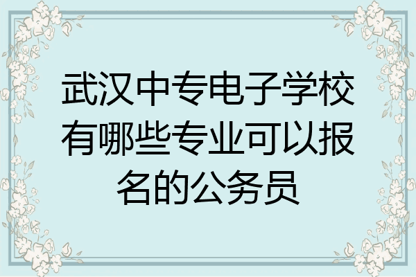 武汉中专电子学校有哪些专业可以报名的公务员