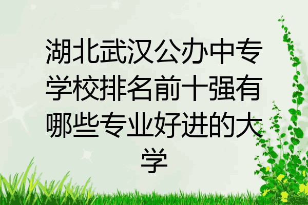 湖北武汉公办中专学校排名前十强有哪些专业好进的大学