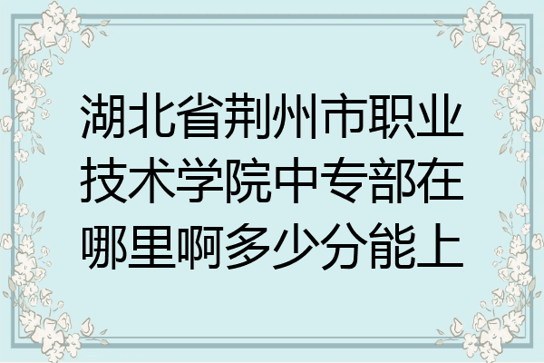 湖北省荆州市职业技术学院中专部在哪里啊多少分能上