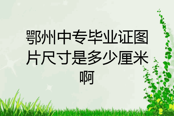 鄂州中专毕业证图片尺寸是多少厘米啊