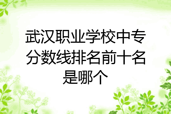 武汉职业学校中专分数线排名前十名是哪个