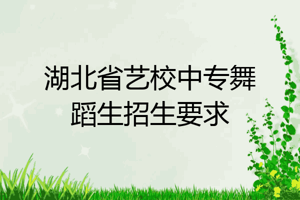 湖北省艺校中专舞蹈生招生要求