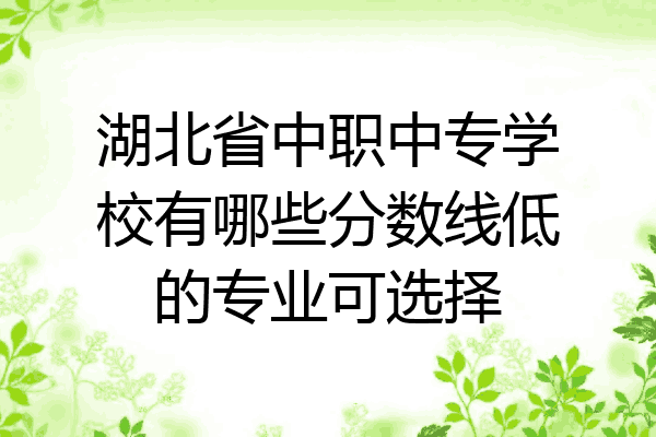 湖北省中职中专学校有哪些分数线低的专业可选择