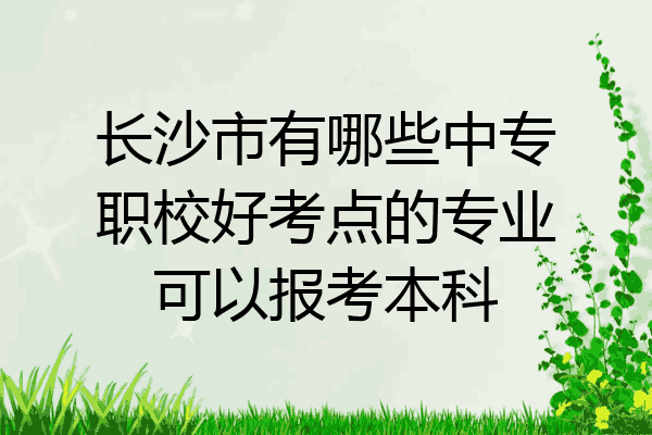 长沙市有哪些中专职校好考点的专业可以报考本科
