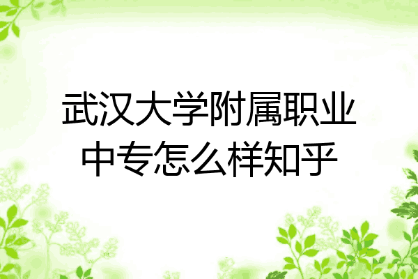 武汉大学附属职业中专怎么样知乎