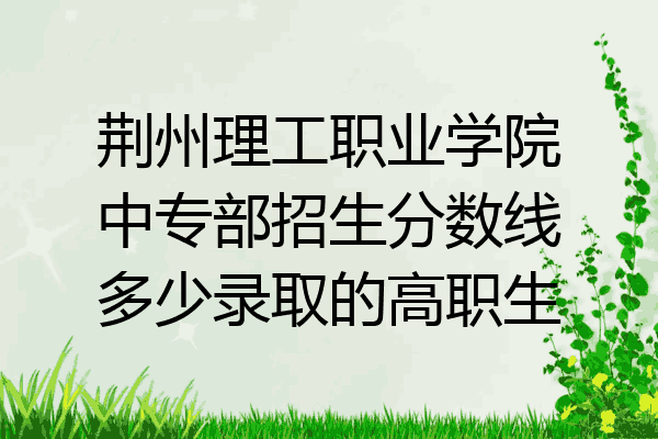 荆州理工职业学院中专部招生分数线多少录取的高职生