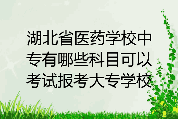 湖北省医药学校中专有哪些科目可以考试报考大专学校