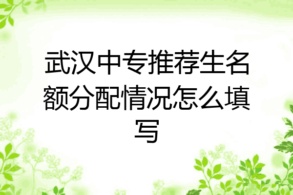 武汉中专推荐生名额分配情况怎么填写
