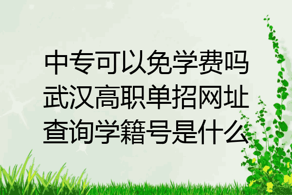 中专可以免学费吗武汉高职单招网址查询学籍号是什么