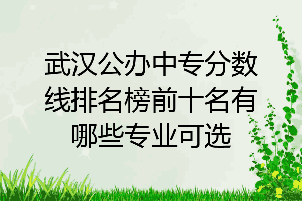 武汉公办中专分数线排名榜前十名有哪些专业可选