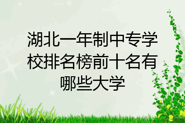 湖北一年制中专学校排名榜前十名有哪些大学