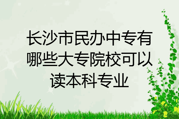 长沙市民办中专有哪些大专院校可以读本科专业