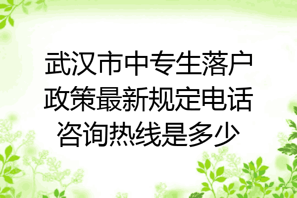 武汉市中专生落户政策最新规定电话咨询热线是多少