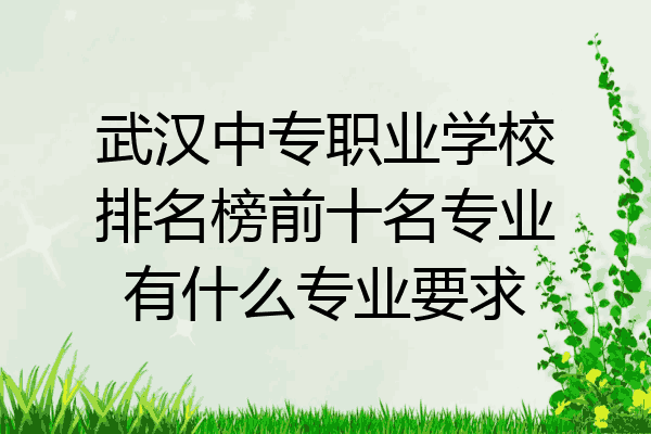 武汉中专职业学校排名榜前十名专业有什么专业要求