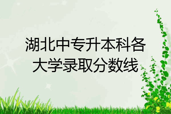 湖北中专升本科各大学录取分数线