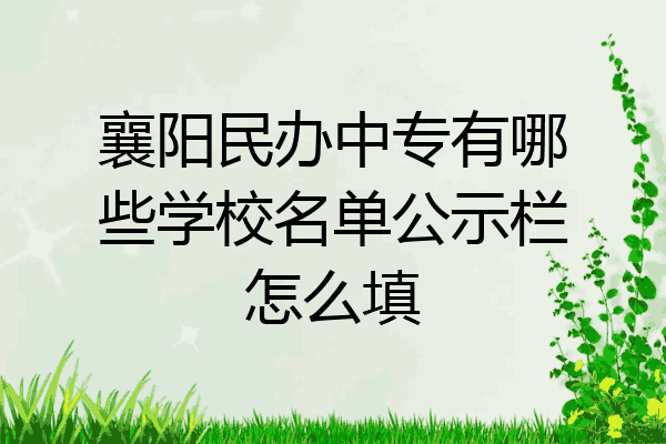 襄阳民办中专有哪些学校名单公示栏怎么填