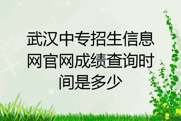 武汉中专招生信息网官网成绩查询时间是多少
