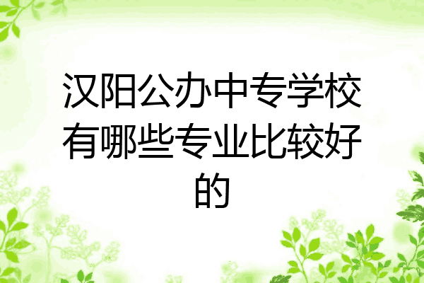 汉阳公办中专学校有哪些专业比较好的