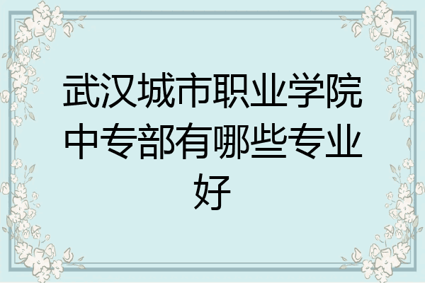 武汉城市职业学院中专部有哪些专业好