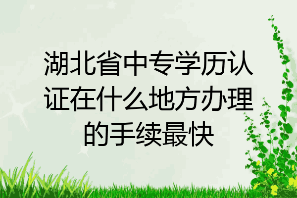 湖北省中专学历认证在什么地方办理的手续最快