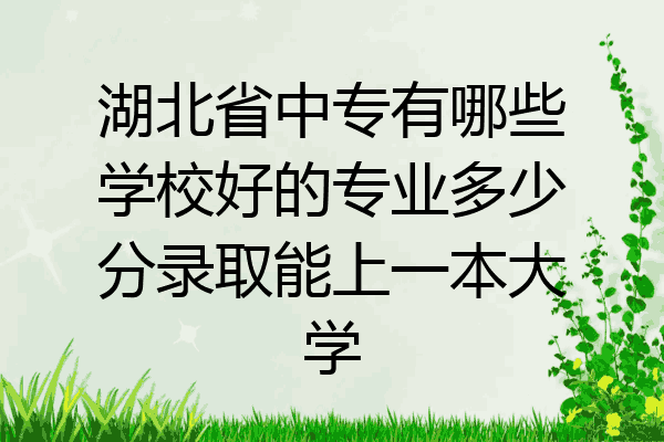湖北省中专有哪些学校好的专业多少分录取能上一本大学