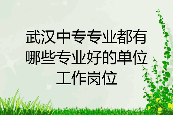 武汉中专专业都有哪些专业好的单位工作岗位