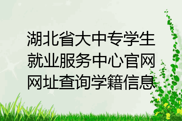 湖北省大中专学生就业服务中心官网网址查询学籍信息