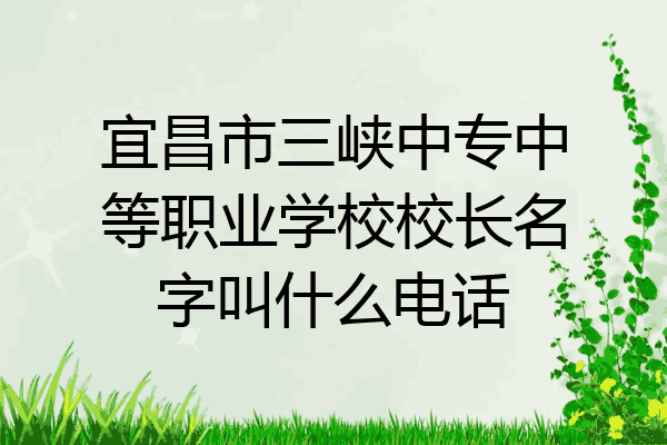 宜昌市三峡中专中等职业学校校长名字叫什么电话