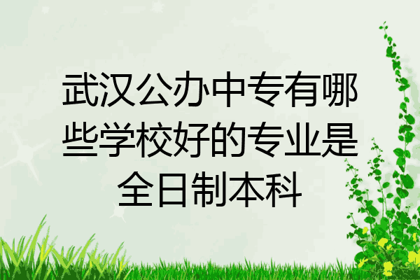 武汉公办中专有哪些学校好的专业是全日制本科