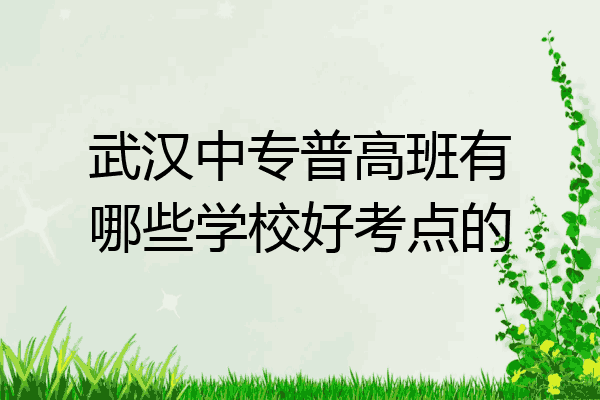 武汉中专普高班有哪些学校好考点的