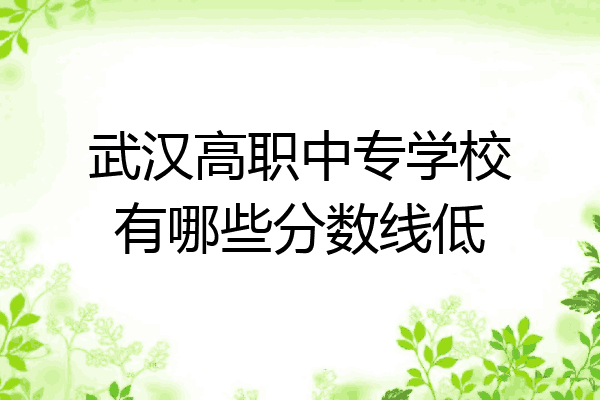 武汉高职中专学校有哪些分数线低
