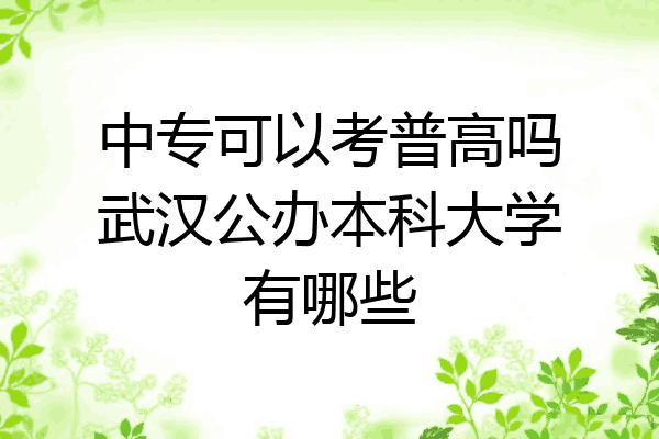 中专可以考普高吗武汉公办本科大学有哪些