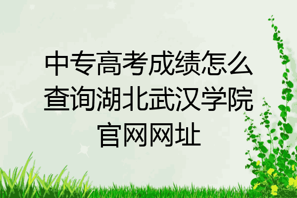 中专高考成绩怎么查询湖北武汉学院官网网址