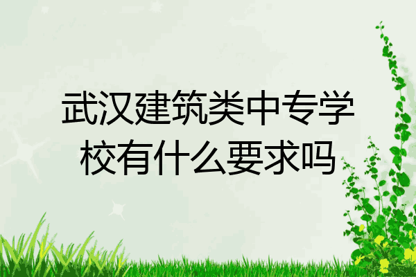 武汉建筑类中专学校有什么要求吗