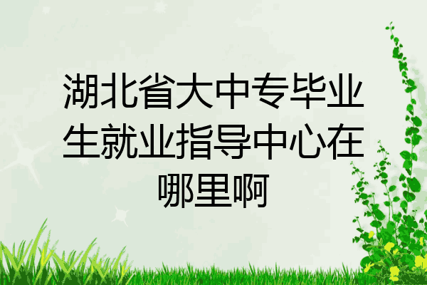湖北省大中专毕业生就业指导中心在哪里啊
