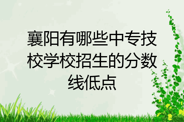 襄阳有哪些中专技校学校招生的分数线低点