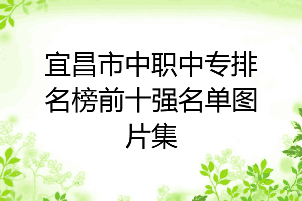 宜昌市中职中专排名榜前十强名单图片集