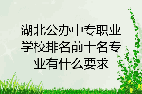 湖北公办中专职业学校排名前十名专业有什么要求